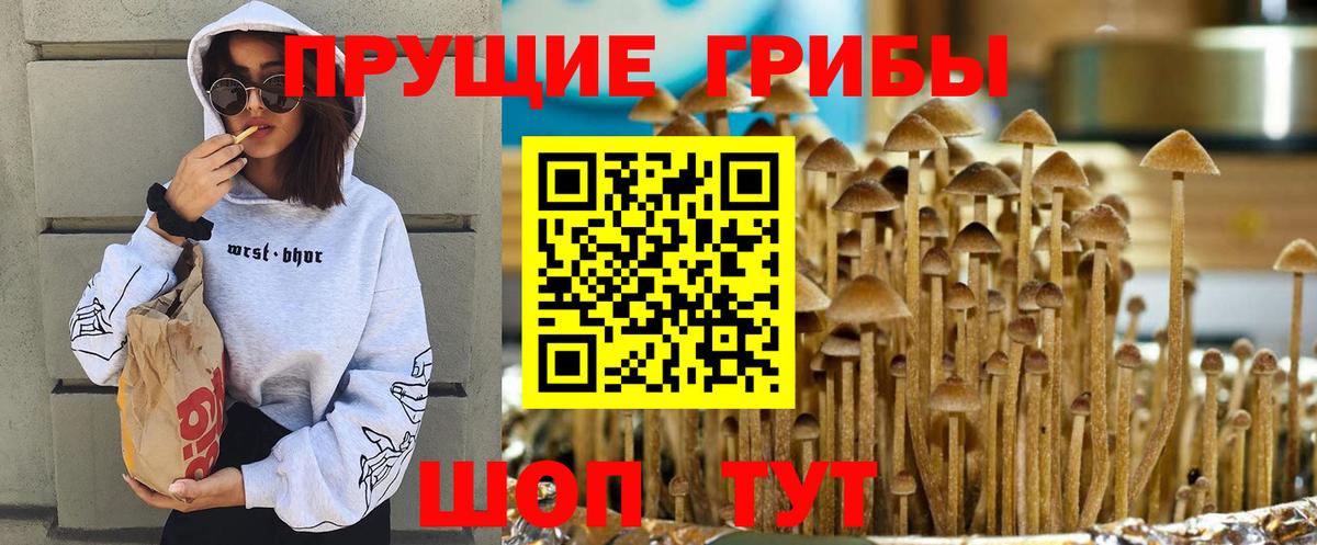 Псилоцибиновые грибы Psilocybe  Вход с VPN  Орехово-Зуево 